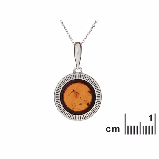 Pendentif en ambre de la mer Baltique, en argent 925 vieilli