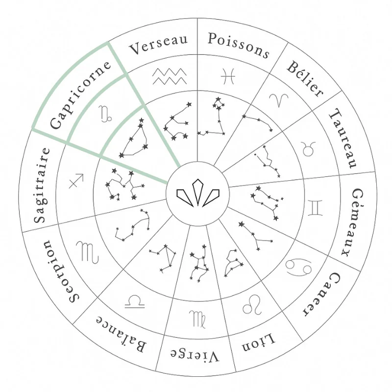 Capricorn astrological sign jewelry